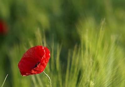 送老公的生日祝福语(40句)