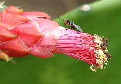 送给班级的祝福语(60句)