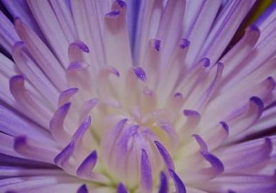 送给同学的祝福语(推荐80句)