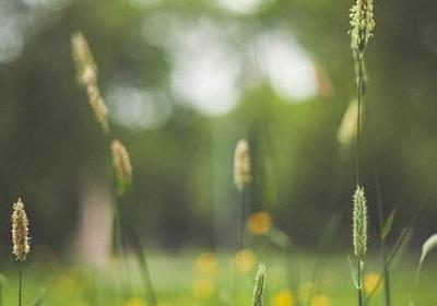 送朋友新婚祝福语(热门69句)