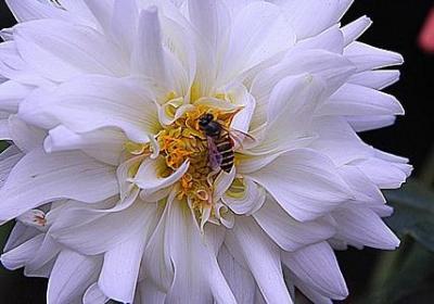 送给宝贝的祝福语(精选60句)