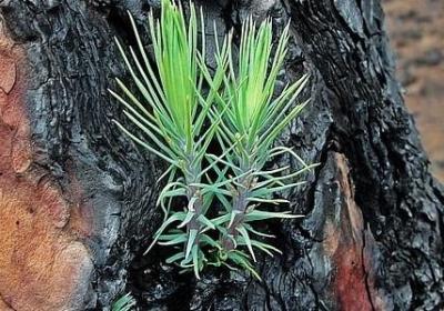 送给姐姐的祝福语(优选40句)