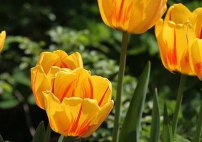 退休领导祝福语(合集60句)