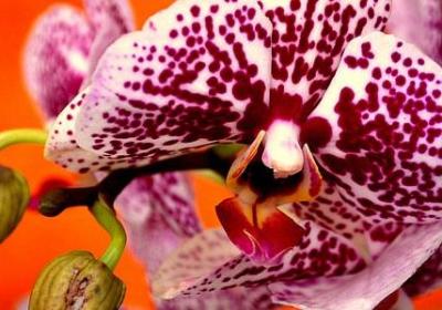 送爸爸的生日祝福语(合集30句)