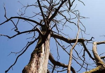 送给山区孩子的祝福语(通用50句)