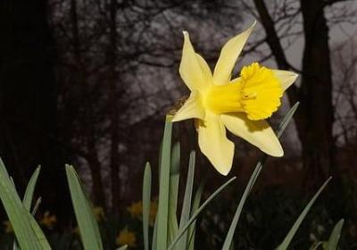 送别同学的祝福语(实用60句)