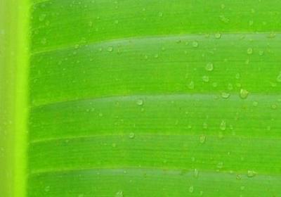 送给老公生日祝福语(合集40句) 送给老公生日祝福语(合集40句)