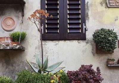 送母亲的祝福语(合集59句) 送母亲的祝福语(合集59句)