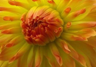 送新生儿红包祝福语(汇总40句) 送新生儿红包祝福语(汇总40句)