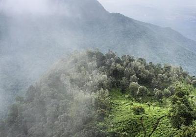 送给老师的生日祝福语(实用50句) 送给老师的生日祝福语(实用50句)