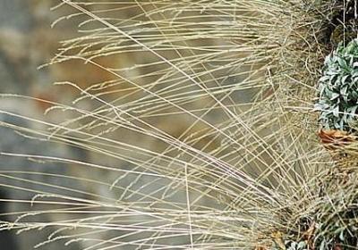 送护手霜的祝福语(推荐40句) 送护手霜的祝福语(推荐40句)