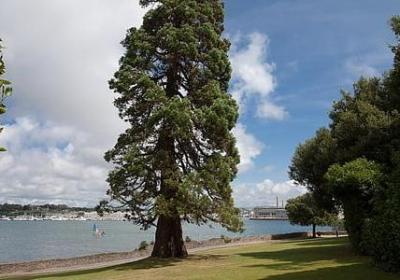 送给奶奶的祝福语(合集59句) 送给奶奶的祝福语(合集59句)