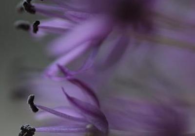 送别老师的祝福语(实用50句) 送别老师的祝福语(实用50句)