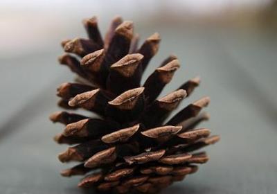 送给老公的祝福语(通用40句) 送给老公的祝福语(通用40句)