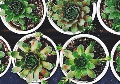 退休欢送祝福语(必备60句) 退休欢送祝福语(必备60句)