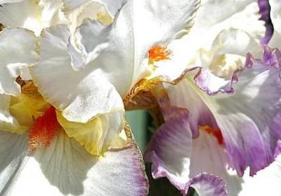 送给女朋友生日祝福语(热门60句) 送给女朋友生日祝福语(热门60句)