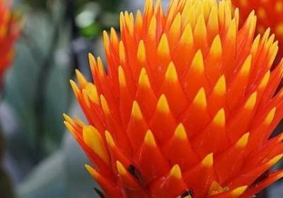 送给生意人的祝福语(精选60句) 送给生意人的祝福语(精选60句)