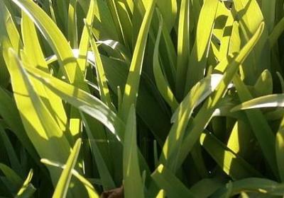 送给男朋友的祝福语(通用50句) 送给男朋友的祝福语(通用50句)