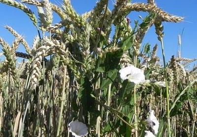 送给哥嫂的祝福语不俗(通用60句) 送给哥嫂的祝福语不俗(通用60句)