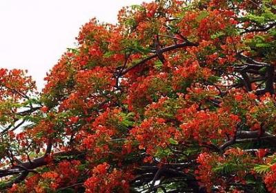 送给孩子成长的祝福语(11句) 送给孩子成长的祝福语(11句)