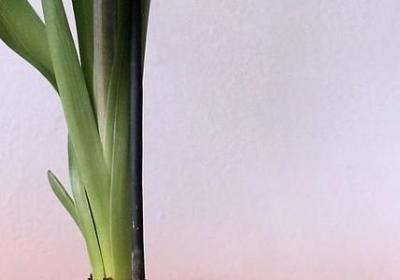 送别同事祝福语(热门50句)