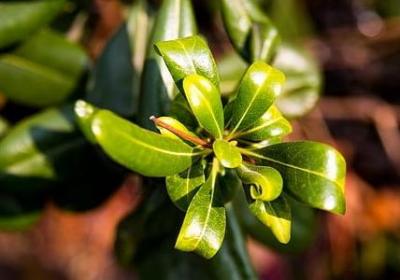 迟到的生日祝福语大全(热门60句)