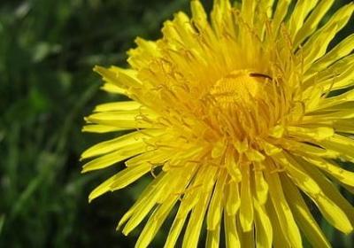 送给妻子的生日祝福语(必备40句)