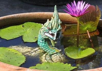 送给长辈生日祝福语(优选40句)