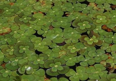 送给大学生的祝福语(推荐50句)