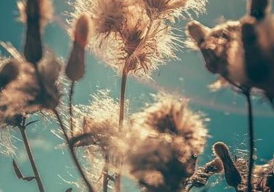 送同事的祝福语(共40句)