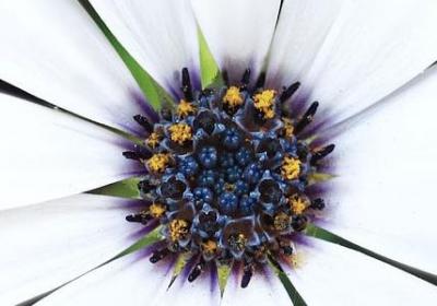 送学生祝福语(优选70句)