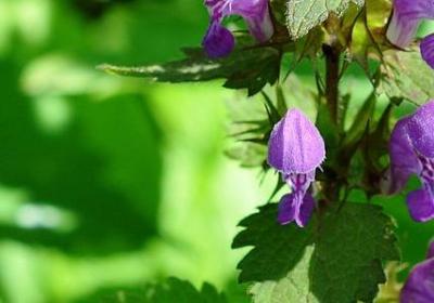 送给孩子生日祝福语(推荐37句)
