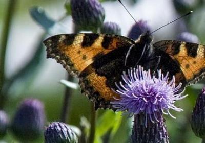 送礼物简单祝福语(通用60句)