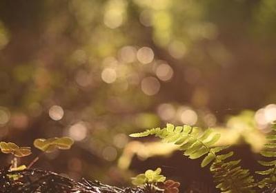 送给侄女的祝福语简短(实用60句)