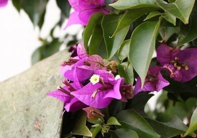 送朋友祝福语(优选79句)