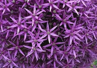 送爸爸生日祝福语(合集50句)