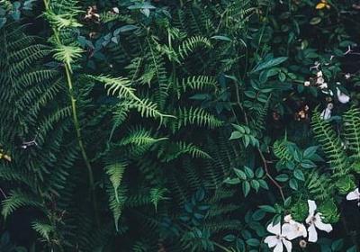 送朋友的祝福语简短(必备50句)