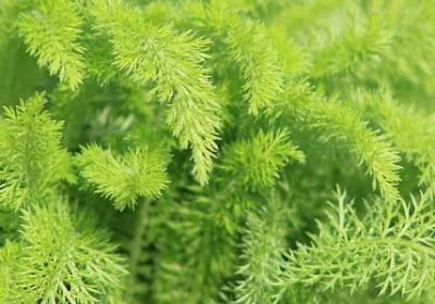 送老师祝福语简短(汇总50句)