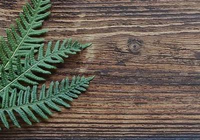 送给小宝宝的祝福语(通用60句)