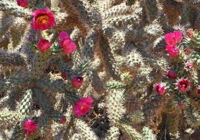 送给女儿结婚祝福语(精选50句)