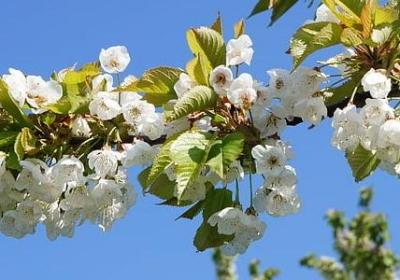 退出工作群的祝福语(精选50句)