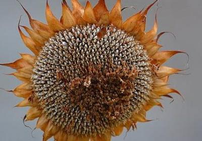 送朋友离开的祝福语(汇总60句)