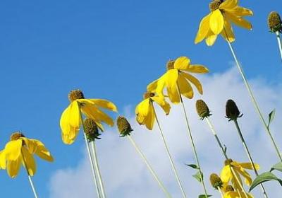 退休贺卡祝福语(汇总40句)