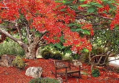 送灯的祝福语(精选60句)