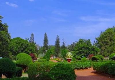 送给妈妈的祝福语(合集40句)