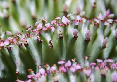 送女友生日祝福语(必备50句)