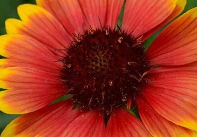 送给产妇的祝福语(必备40句)