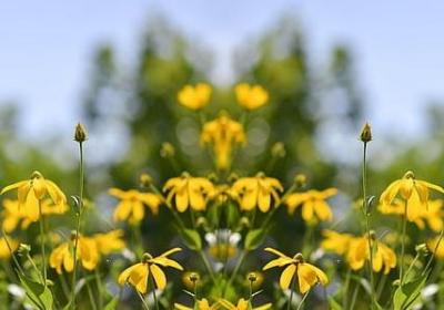 送给老板的生日祝福语(12句)