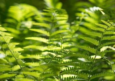 送产妇的祝福语(热门49句)