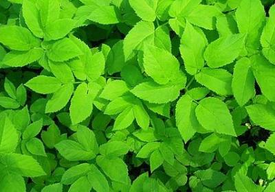 送给老师的贺卡祝福语(推荐60句)